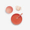 Premium Silicone Baby Meal Set - Coral