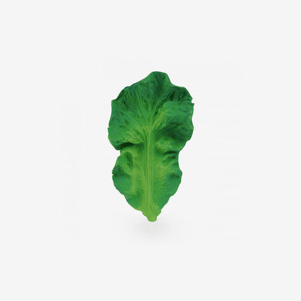 Fruits & Veggies Rubber Teether - Kendall Kale